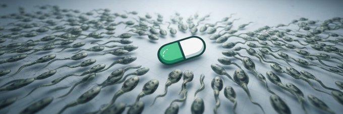 Sperm swarm racing to a pill